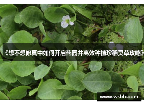 《想不想修真中如何开启药园并高效种植珍稀灵草攻略》