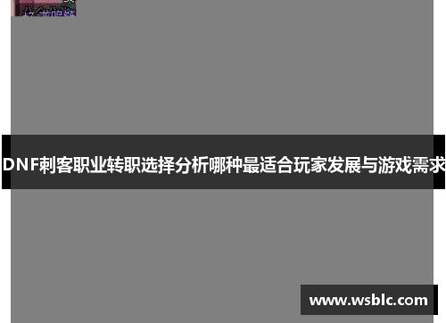 DNF刺客职业转职选择分析哪种最适合玩家发展与游戏需求