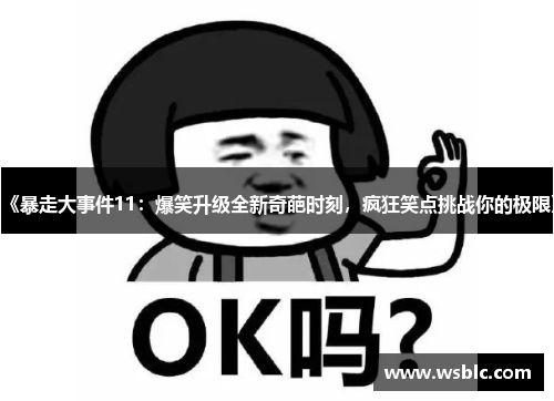 《暴走大事件11：爆笑升级全新奇葩时刻，疯狂笑点挑战你的极限》